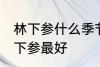 林下参什么季节吃最好 什么季节吃林下参最好