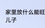 家里放什么能旺儿子 家里什么方位旺儿子