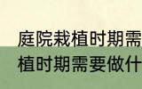 庭院栽植时期需要做哪些事情 庭院栽植时期需要做什么