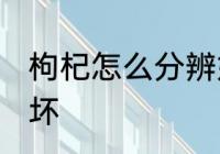 枸杞怎么分辨好坏 怎么分辨枸杞的好坏