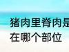 猪肉里脊肉是哪个部位 猪肉里脊肉是在哪个部位