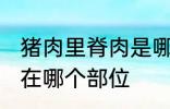 猪肉里脊肉是哪个部位 猪肉里脊肉是在哪个部位