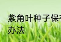 紫角叶种子保存方法 紫角叶种子保存办法