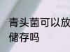 青头菌可以放冰箱吗 青头菌可以冰冻储存吗