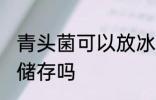 青头菌可以放冰箱吗 青头菌可以冰冻储存吗