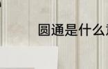 圆通是什么意思 圆通释义