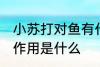 小苏打对鱼有什么作用 小苏打对鱼的作用是什么