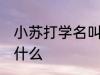小苏打学名叫什么名字 小苏打学名是什么