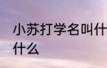 小苏打学名叫什么名字 小苏打学名是什么