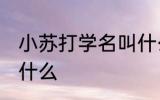 小苏打学名叫什么名字 小苏打学名是什么