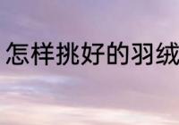 怎样挑好的羽绒服 如何挑好的羽绒服