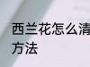 西兰花怎么清洗比较好 西兰花的清洁方法