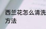 西兰花怎么清洗比较好 西兰花的清洁方法