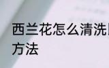 西兰花怎么清洗比较好 西兰花的清洁方法