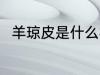 羊琼皮是什么材质 羊琼皮是啥材质