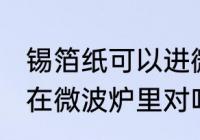锡箔纸可以进微波炉吗 锡箔纸不能放在微波炉里对吗
