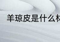 羊琼皮是什么材质 羊琼皮是啥材质