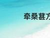 牵桑葚方法 摘桑葚方法