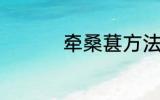 牵桑葚方法 摘桑葚方法