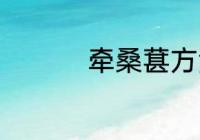 牵桑葚方法 摘桑葚方法