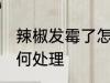 辣椒发霉了怎么处理 干辣椒发霉了如何处理