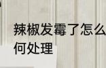 辣椒发霉了怎么处理 干辣椒发霉了如何处理