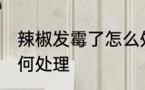 辣椒发霉了怎么处理 干辣椒发霉了如何处理