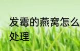 发霉的燕窝怎么处理 发霉的燕窝如何处理