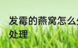 发霉的燕窝怎么处理 发霉的燕窝如何处理