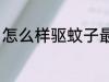怎么样驱蚊子最有效 蚊子要怎么祛除