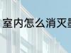 室内怎么消灭墨蚊 室内如何消灭墨蚊