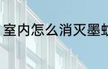 室内怎么消灭墨蚊 室内如何消灭墨蚊