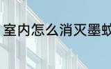 室内怎么消灭墨蚊 室内如何消灭墨蚊