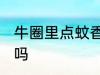 牛圈里点蚊香可以吗 牛圈里点蚊香能吗