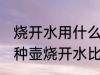烧开水用什么壶最好在哪里买 使用哪种壶烧开水比较好