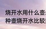 烧开水用什么壶最好在哪里买 使用哪种壶烧开水比较好