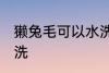 獭兔毛可以水洗吗 獭兔毛可不可以水洗
