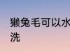 獭兔毛可以水洗吗 獭兔毛可不可以水洗