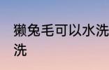 獭兔毛可以水洗吗 獭兔毛可不可以水洗