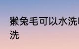 獭兔毛可以水洗吗 獭兔毛可不可以水洗
