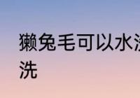 獭兔毛可以水洗吗 獭兔毛可不可以水洗