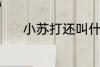 小苏打还叫什么 小苏打的别称