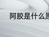 阿胶是什么原料 阿胶是什么做的