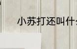 小苏打还叫什么 小苏打的别称