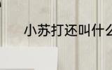 小苏打还叫什么 小苏打的别称