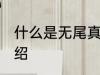 什么是无尾真空水杯 无尾真空水杯介绍
