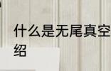 什么是无尾真空水杯 无尾真空水杯介绍