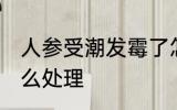 人参受潮发霉了怎么办 发霉的人参怎么处理