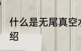 什么是无尾真空水杯 无尾真空水杯介绍