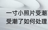 一寸小照片受潮了怎么办 一寸小照片受潮了如何处理
